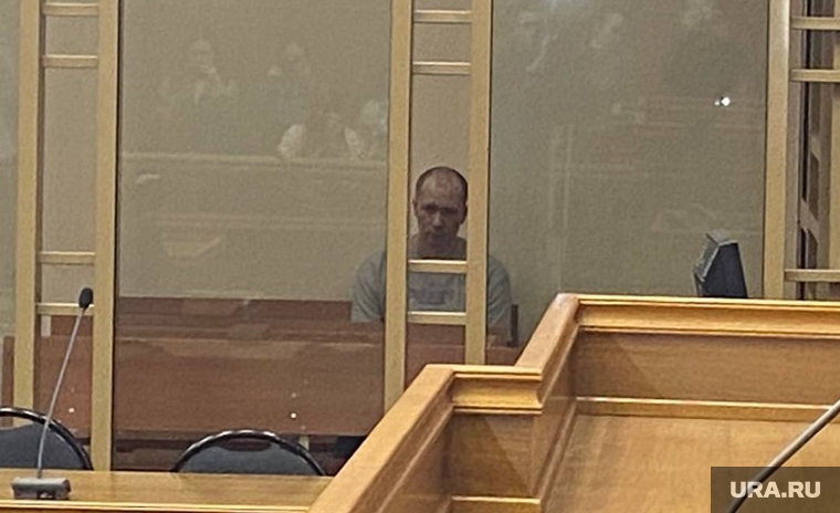 Приговор Дмитрию Моисееву, Челябинский областной суд