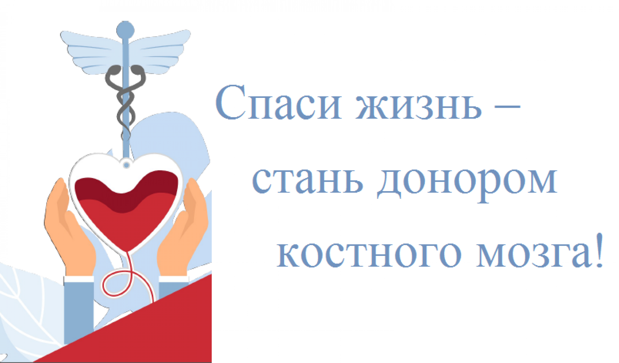 Спас спаси жизнь. Донор костного мозга.