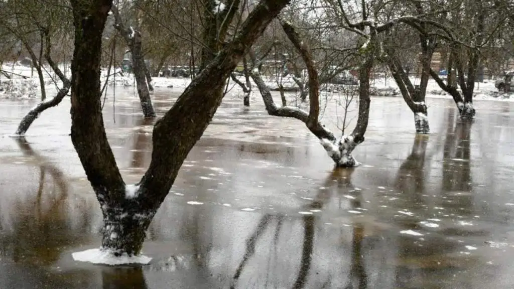 Рагайнис: похоже, что пик наводнения в Крустпилсской и Салской волостях пройден
