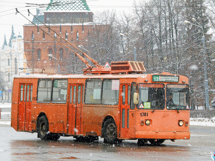 Бастрыкина возмутила замена троллейбусов на автобусы в Нижнем