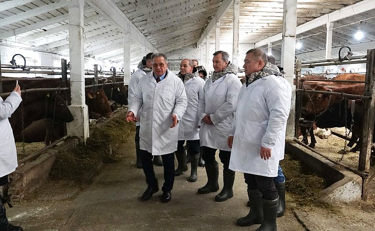 Первый заместитель Председателя СФ Андрей Яцкин и председатель Комитета СФ по аграрно-продовольственной политике и природопользованию Александром Двойных в ходе поездки в Ростовскую область посетили ряд сельскохозяйственных предприятий