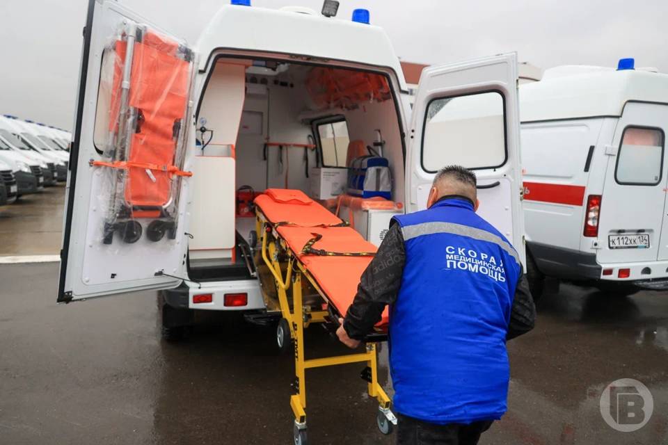 Под Волгоградом «Лада Приора» врезалась в дерево
