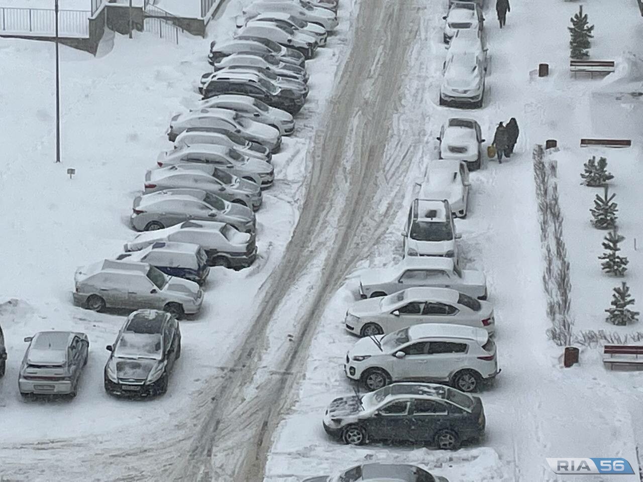 Общественные работы. Зимний сад глызин ноты для фортепиано. Которую неделю метут. Слова которую неделю метут метели. Озимые зимой.