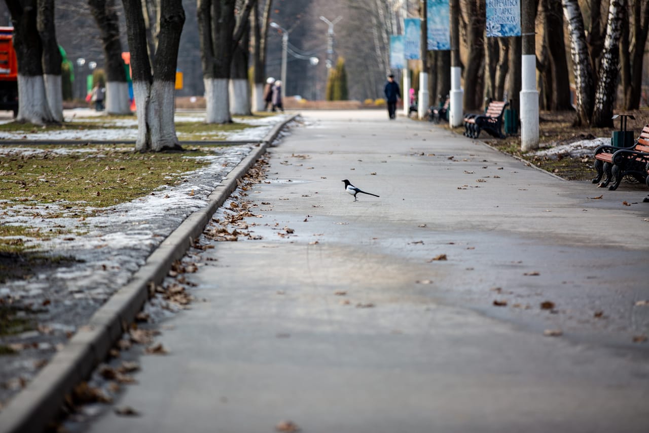 Атмосферное в туле. Тула в марте. Тула в апреле. Первый Тульский дождь. Март в Туле фото.