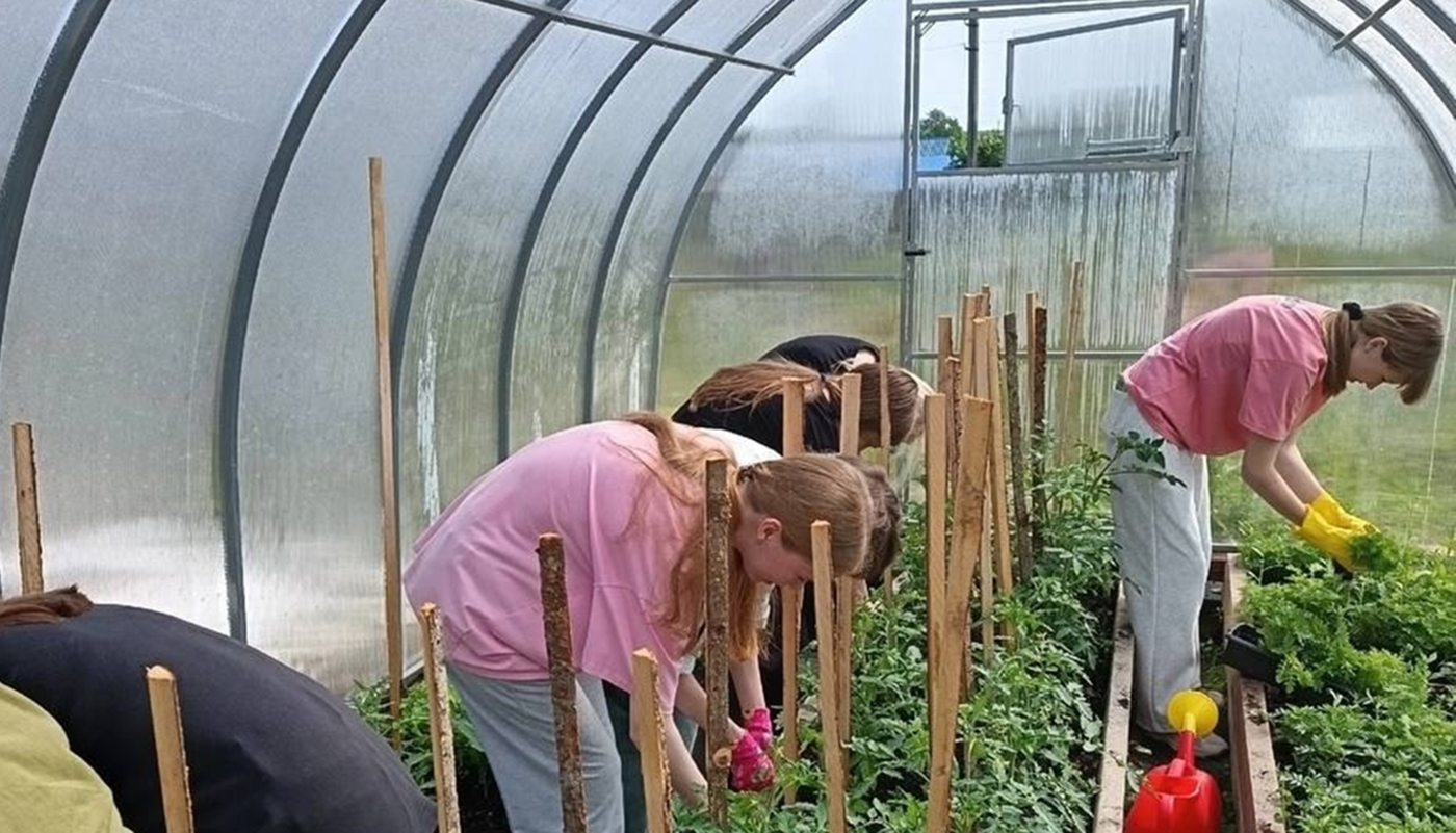 Фото: министерство труда и занятости населения Вологодской области