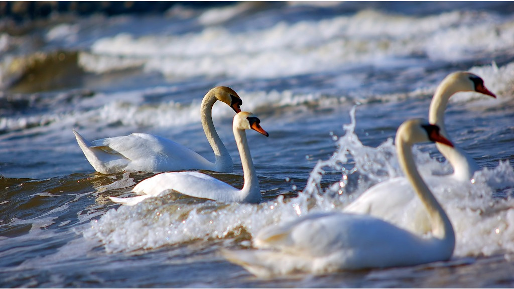 Фото: ru.freepik.com