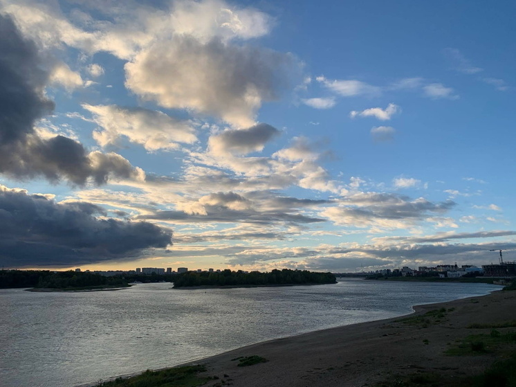 Жители Омской области забили тревогу из-за лебедей, оставшихся на озере