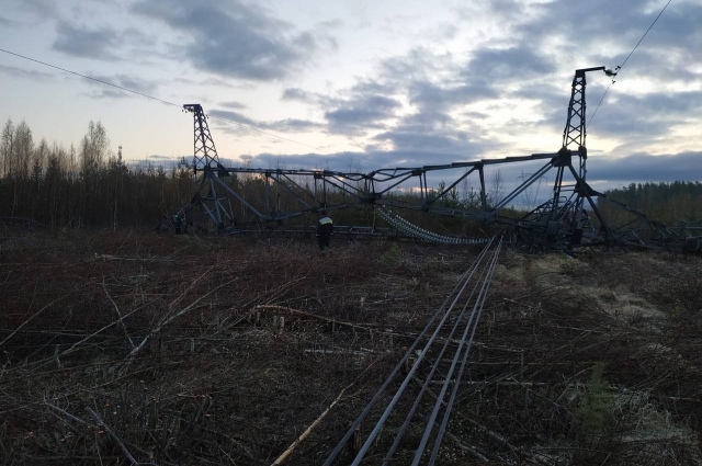 Так выглядела подорванная ЛЭП в Ленобласти.