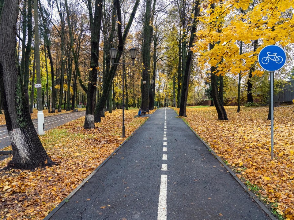 В Подмосковье опубликовали новые социально значимые закупки