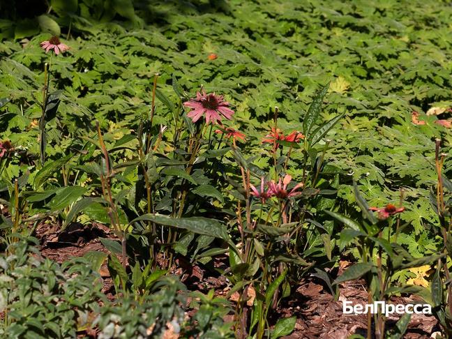 Как отдохнуть белгородцам 17–19 октября - Изображение 1