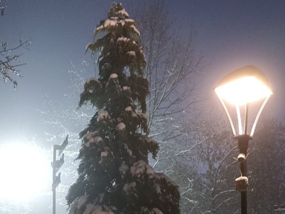 Фото: Марина Маркевич