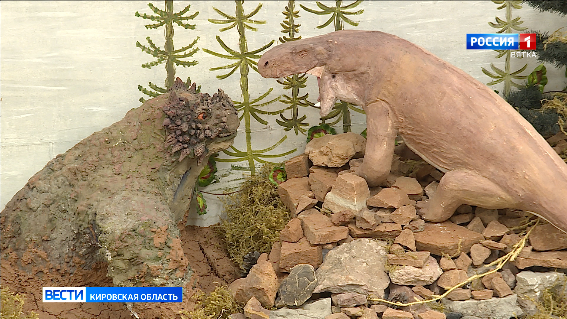 В Кирово-Чепецке открылась палеонтологическая выставка