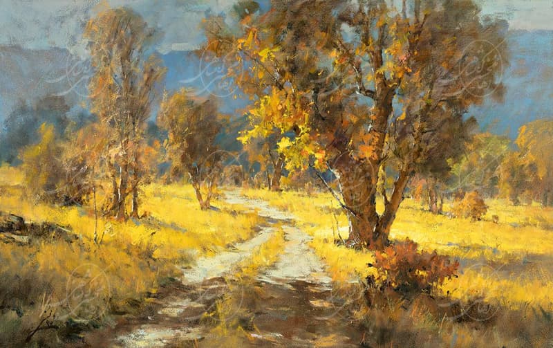 Дубы в Падене