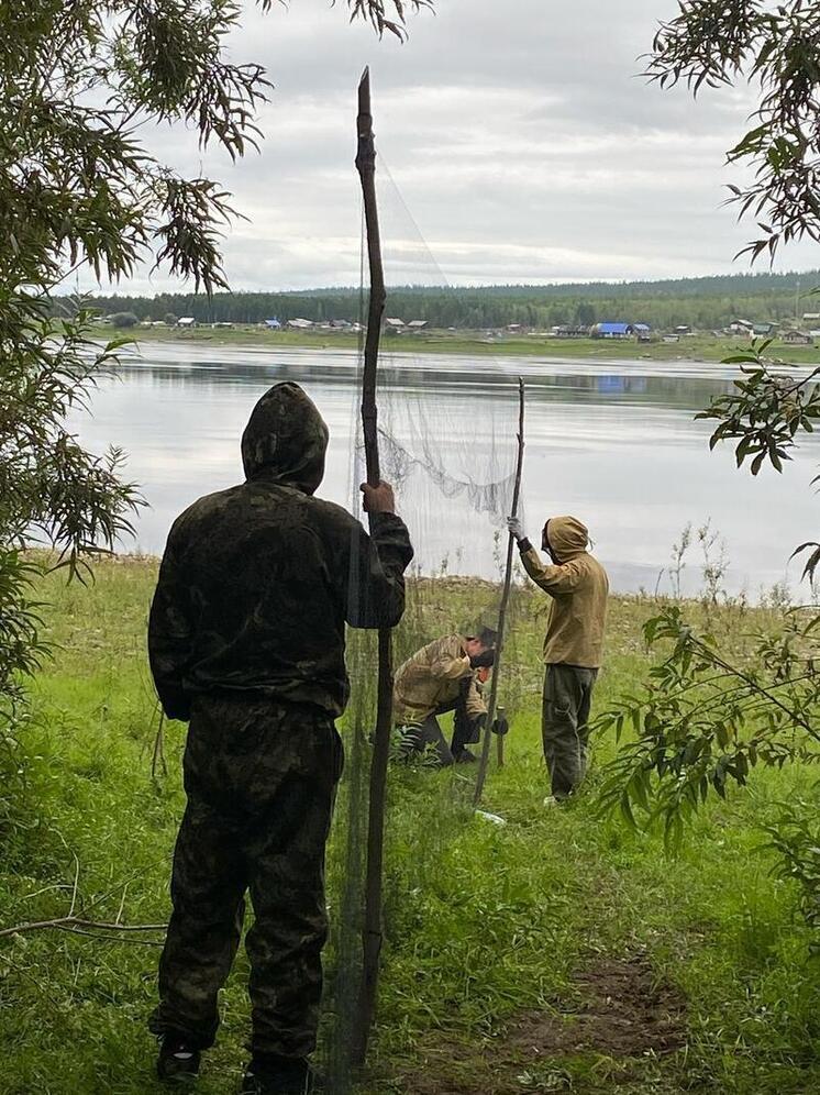 Ученые из России и Китая обсудят в Якутии перспективы исследований миграции и охраны редких птиц