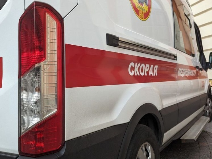 Эвакуированных из Белгородской области детей госпитализировали с инфекцией в Петербурге