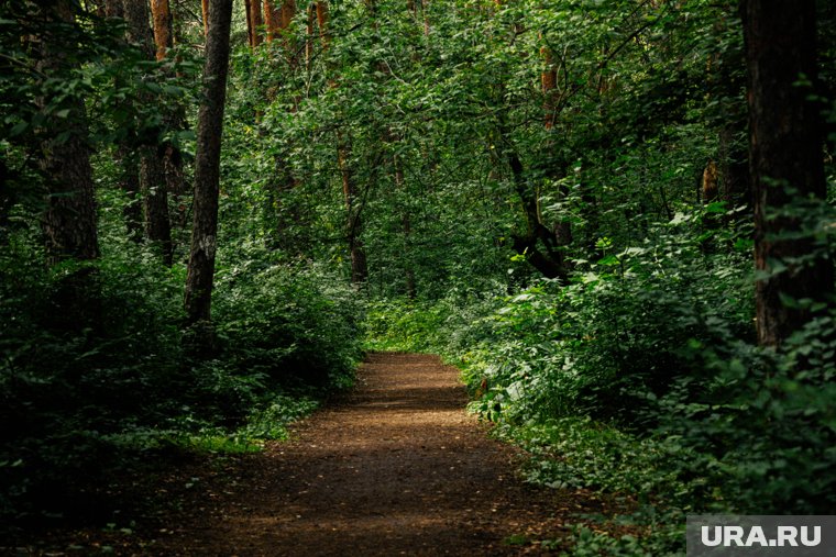 В лес в этот день не ходили, но можно было прибраться дома