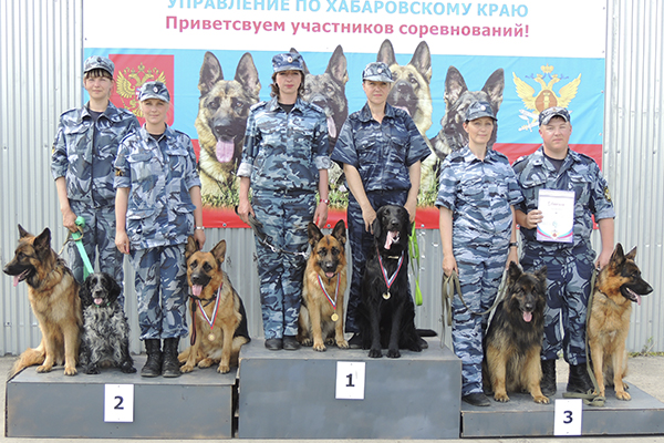 Уфа волкособы 21 июня 2017 день кинологической службы.