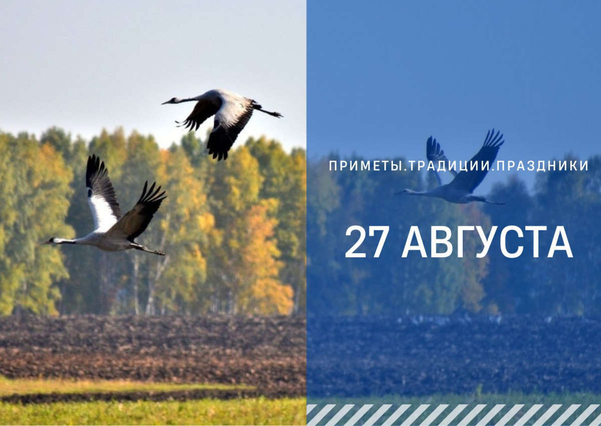 Приметы 27 августа: что нельзя делать в день Михея Тиховея, чтобы не было денежных проблем