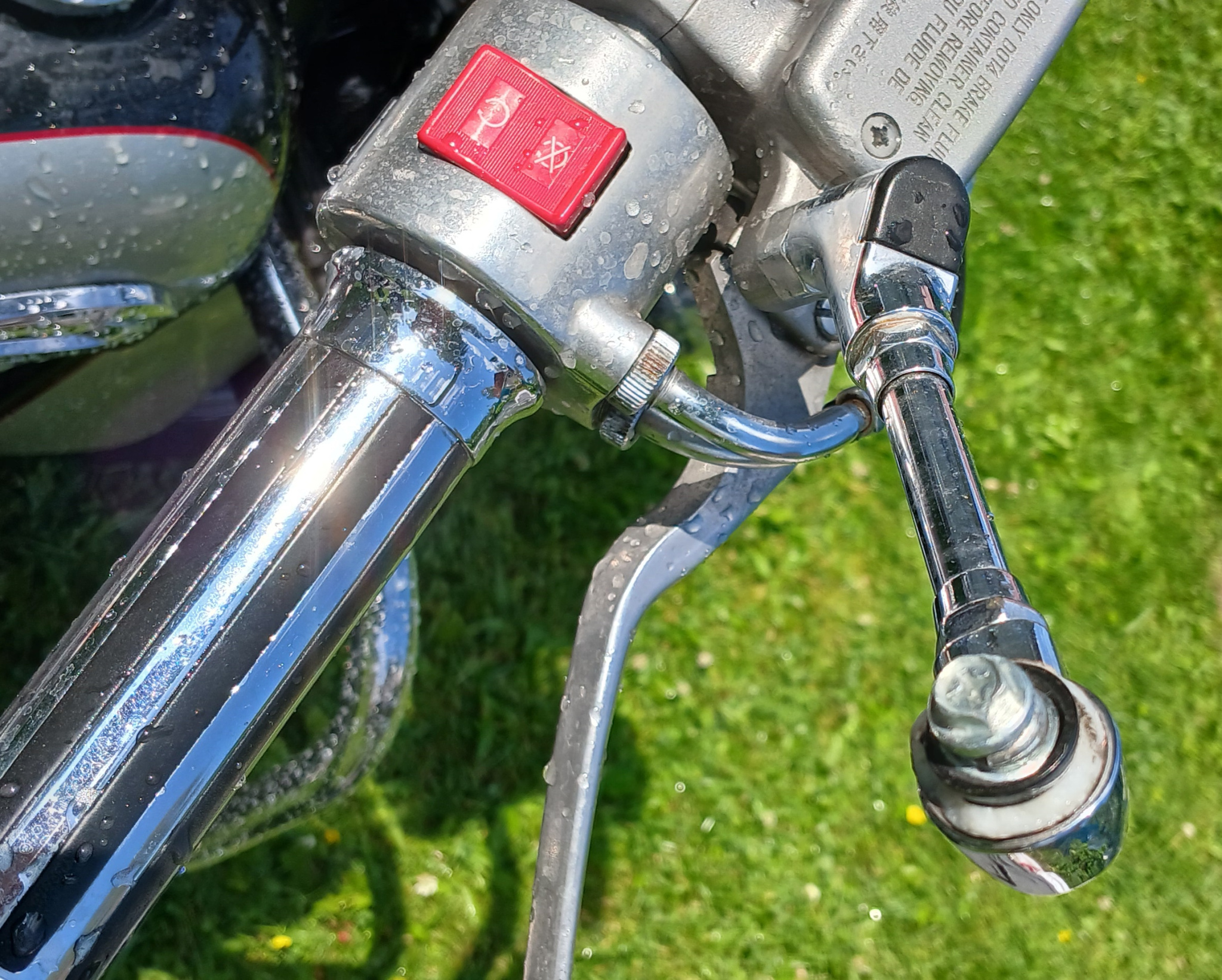 20250716_133251.jpg