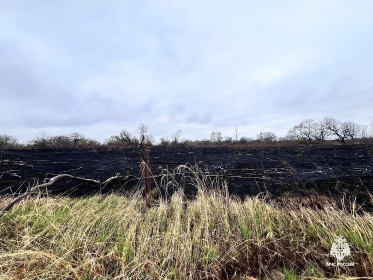 В Хабаровском крае зафиксированы термические аномалии