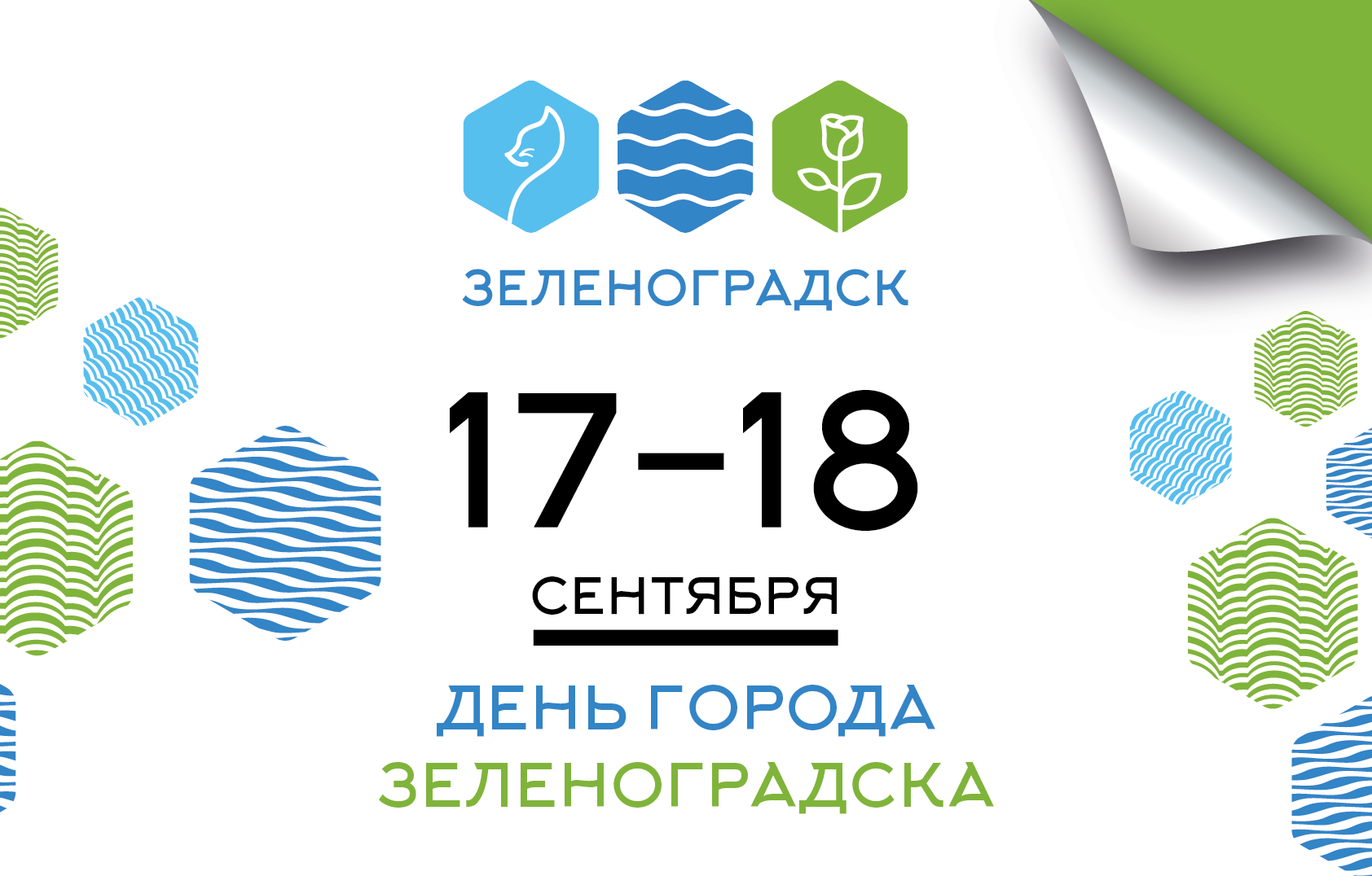 День города зеленоградск 2024 калининградская. День города Зеленоградск. Когда день города в Зеленоградске. Зеленоградск логотип