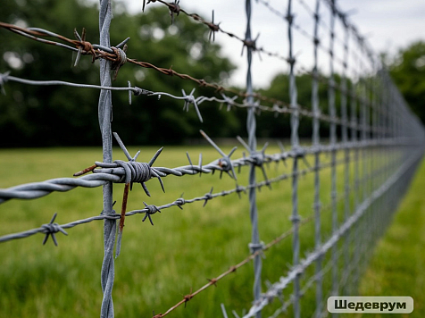 В Красноярском крае объявили конкурс на строительство нового корпуса тюрьмы. Фото: Шедеврум