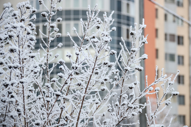 Приметы 3 декабря: Прокл — спасаемся от нечисти