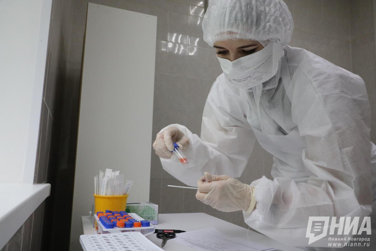 Инфекционист оценил риски распространения хантавируса в Нижегородской области