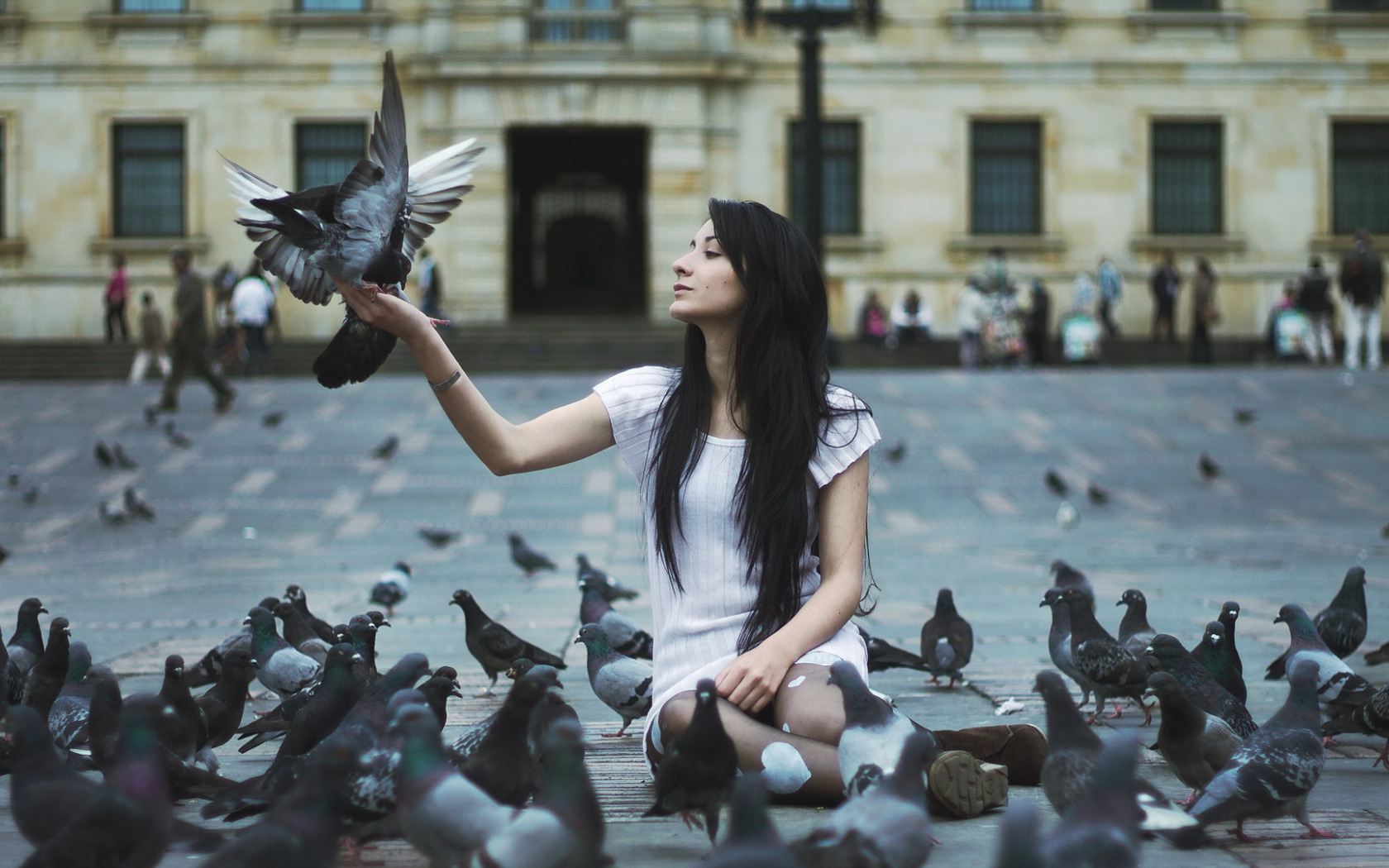 Люди не птицы 1 час. Девушка с голубем. Человек голубь. Фотосессия с голубями. Человек птица.