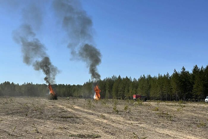 В Кирсе прошли учения по тушению лесного пожара