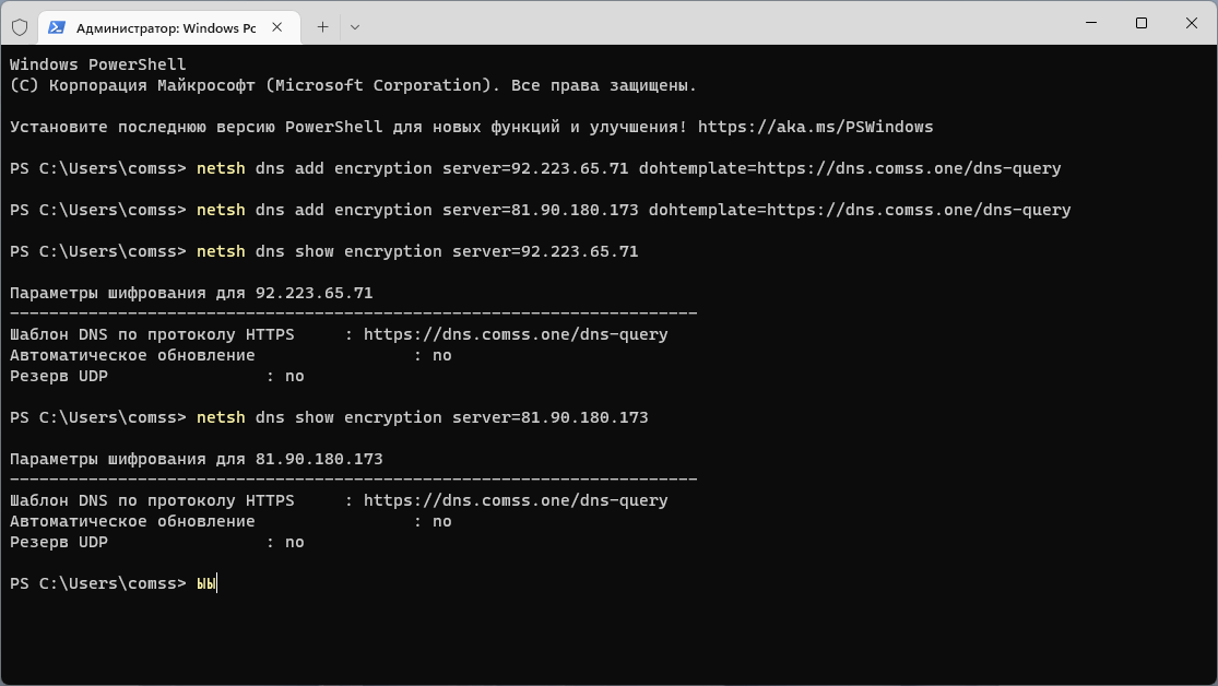 Шифрование сервера. Comss DNS. Какие пароли для ДНС. Шифрование для сервера на русском.