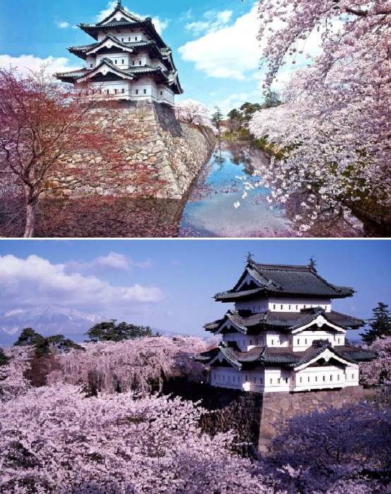 Замок Хиросаки – место, где ежегодно проходит захватывающий дух фестиваль цветения сакуры (Япония).