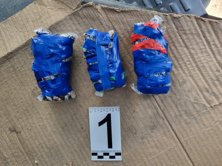 Житель Плавска идет под суд за покушение на незаконный оборот наркотиков