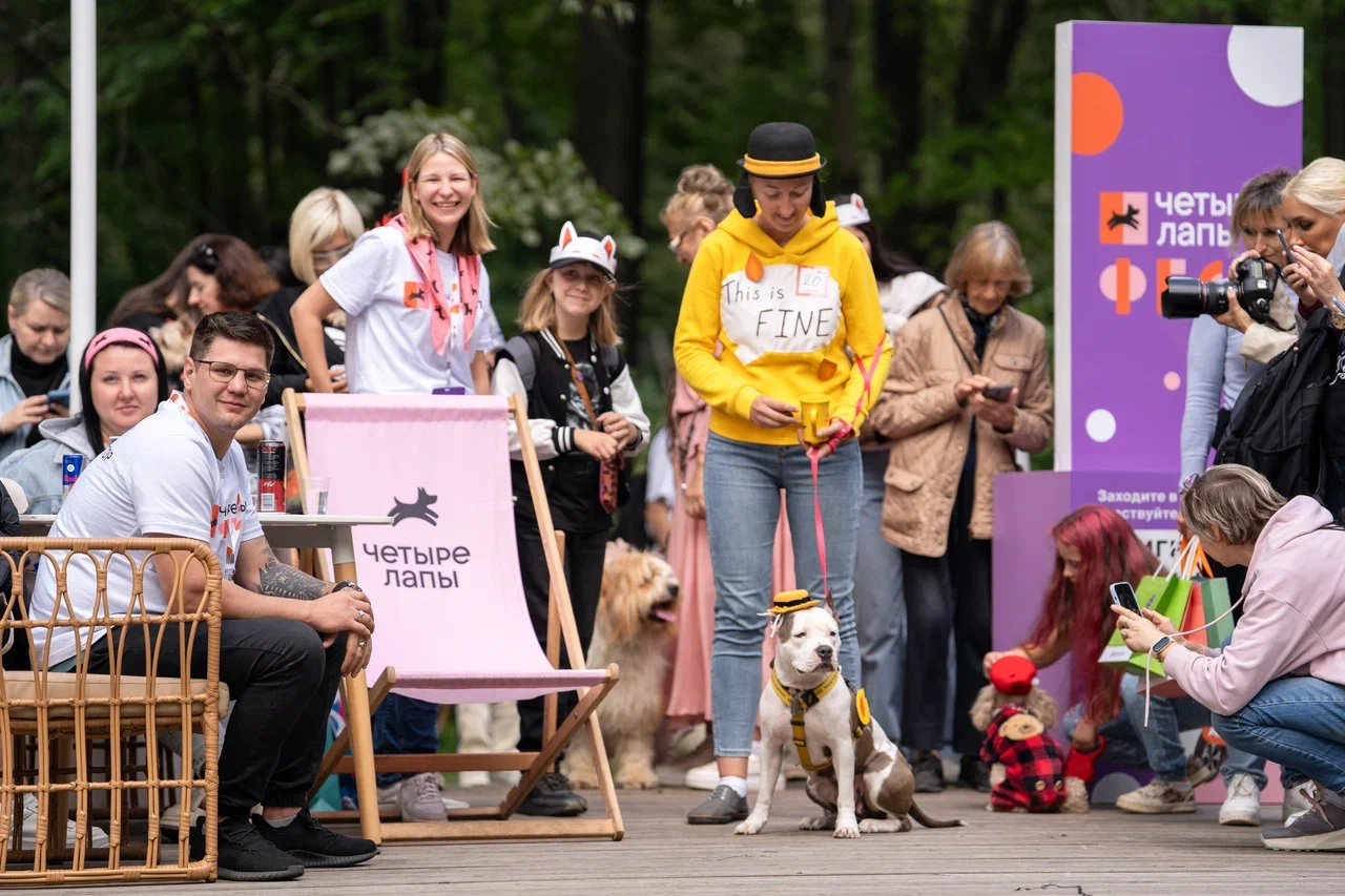 «Четыре Лапы Фест»: лучшие кадры самого доброго фестиваля лета