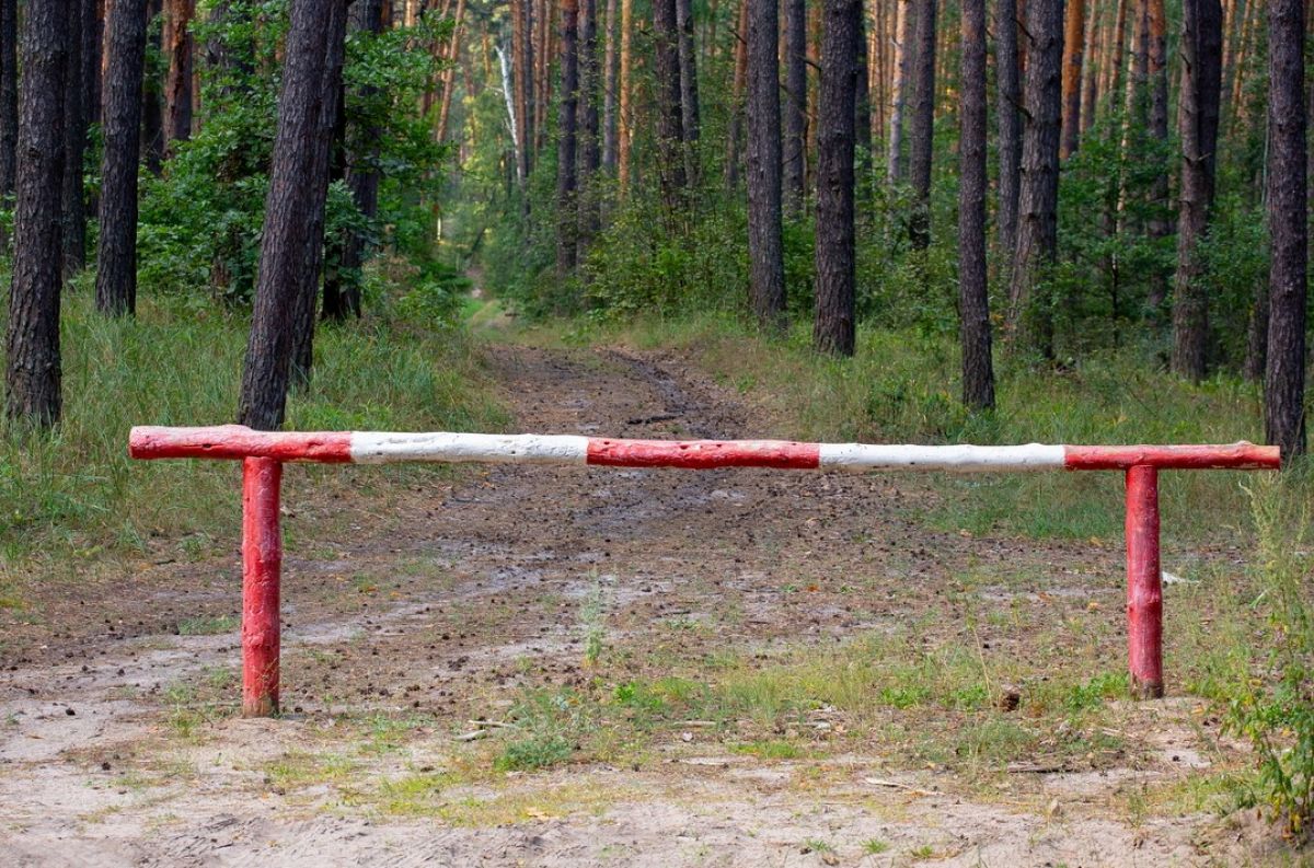 До середины октября в Воронежской области продлили запрет на посещение лесов