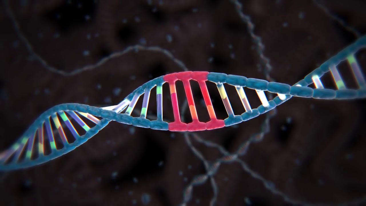 Изменение генома клетки. Технология редактирования генома CRISPR/cas9. Редактирование генома с CRISPR/cas9. Генетика CRISPR. Криспер КАС 9.