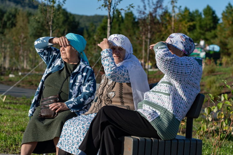 «По данным Росреестра, за 2024 год признаны недействительными более 3 тысяч сделок с участием продавцов пожилого возраста (это до всяких Долиных)»