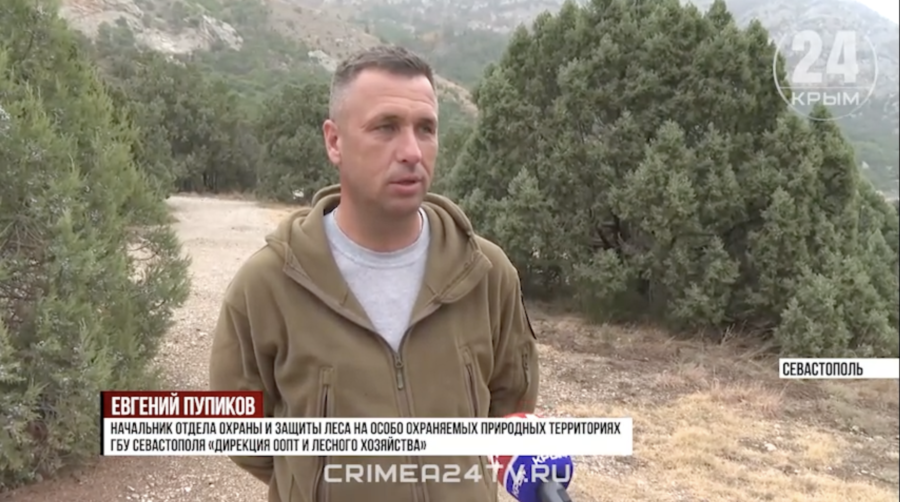Севастополь дирекция
