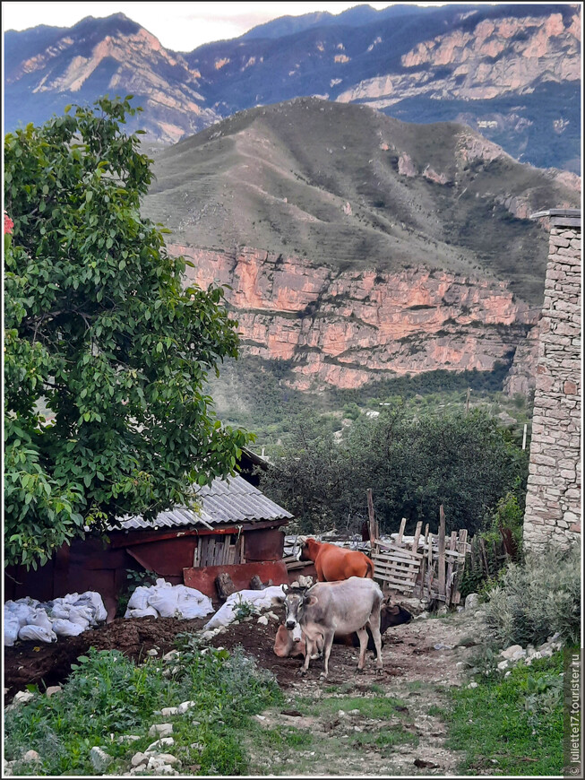 Затерянный мир Сулакского каньона