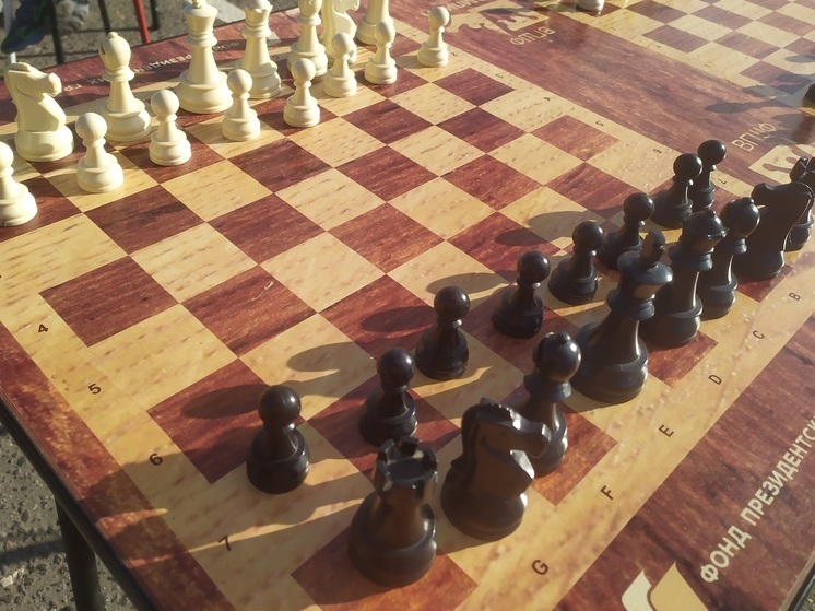 Второе место на международном турнире по шахматам заняли вологжане