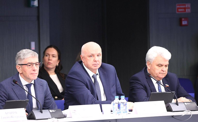 Заседание Комиссии Совета Федерации по развитию креативных (творческих) индустрий и народных художественных промыслов в РФ