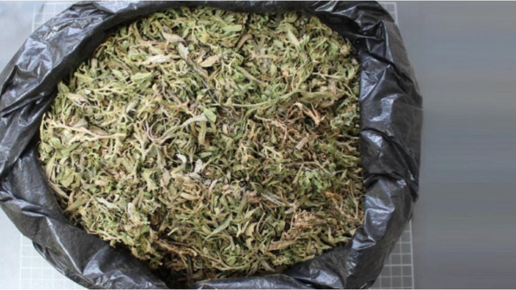 Фото: ГУ МВД РФ по Алтайскому краю