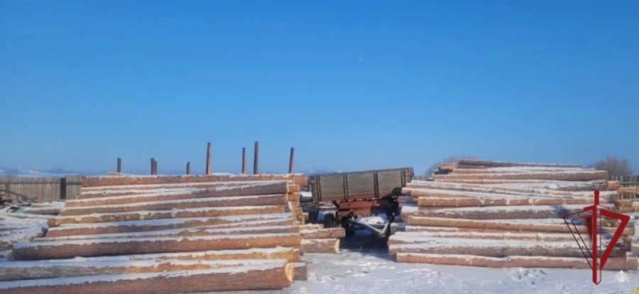 В Бурятии сотрудники ОМОН пресекли незаконную рубку лесных насаждений