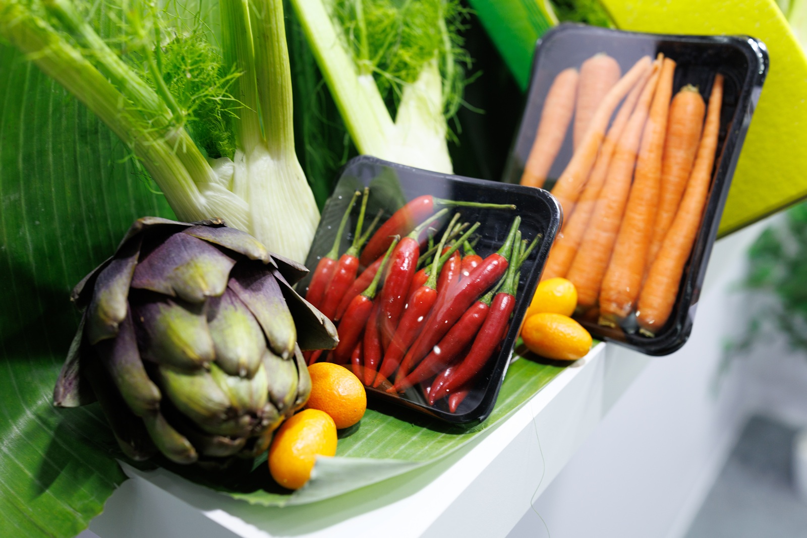 Подведены итоги международной выставки WorldFood Moscow 2025