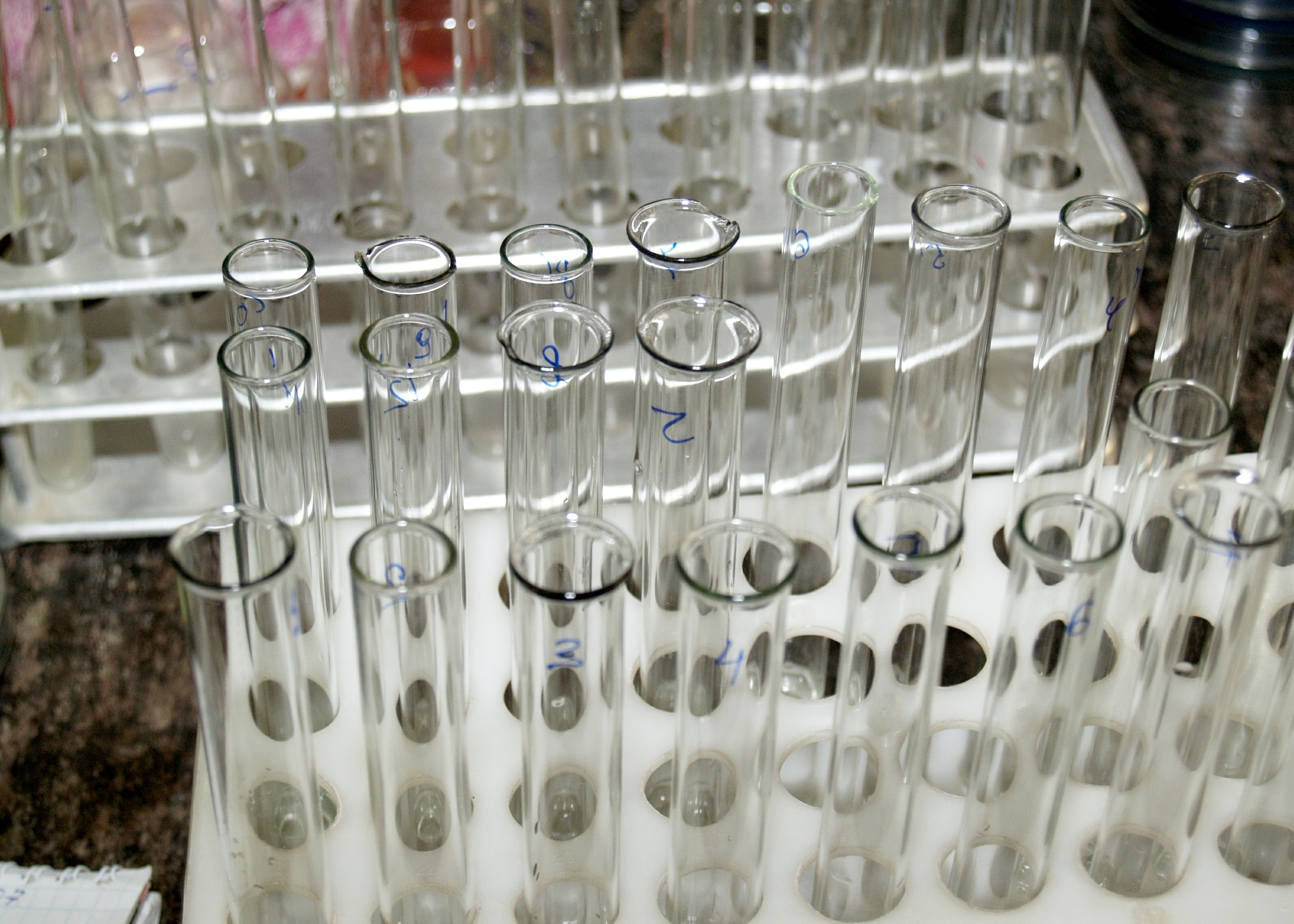 В сша есть вирус. Институт вирусологии в ухане. Военные биологические лаборатории сша. В сша есть вирус. В сша есть вирус.