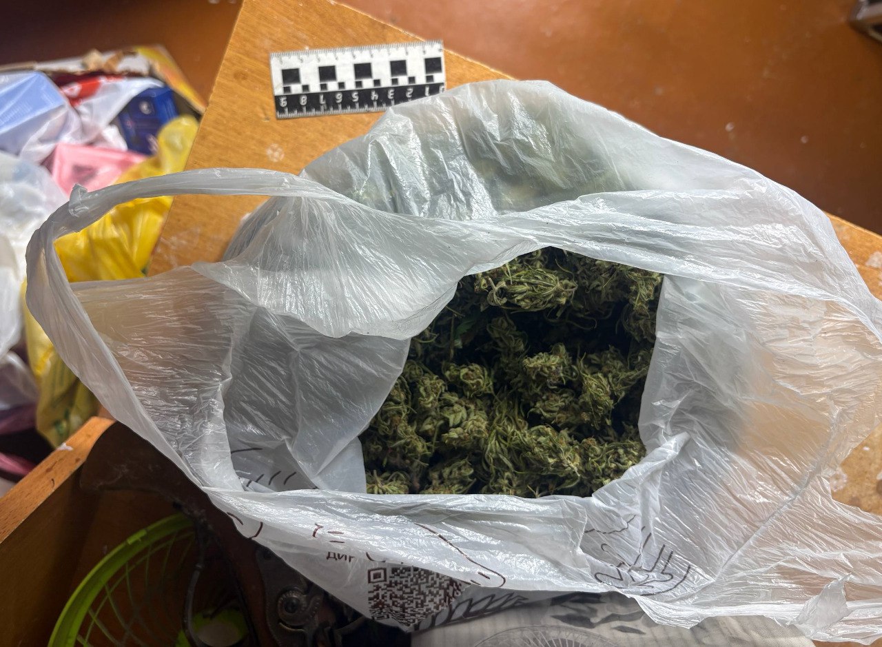 Продавец супермаркета в Сарапуле устроил дома плантацию конопли