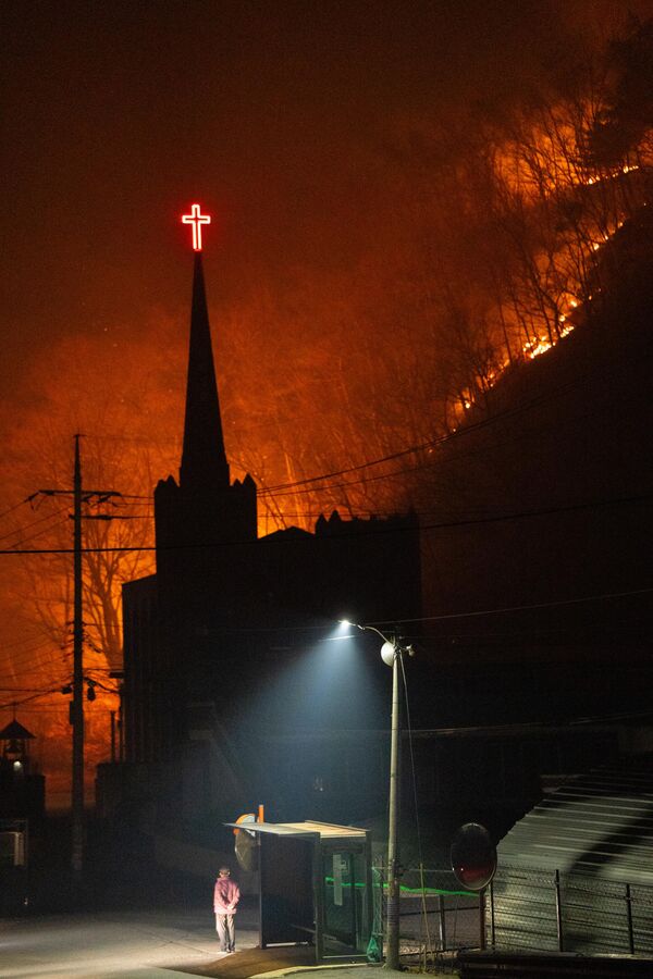 Вид на лесной пожар, распространяющийся по южнокорейскому городу из-за сильных ветров - Sputnik Абхазия