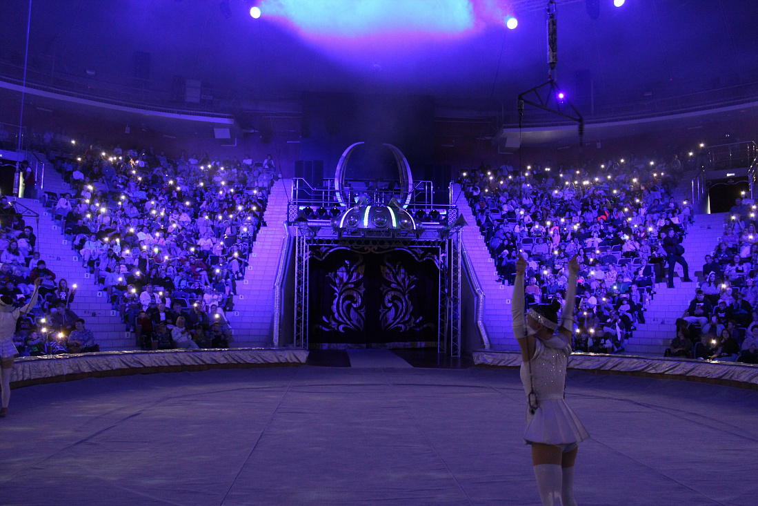 представление в курском цирке в декабре