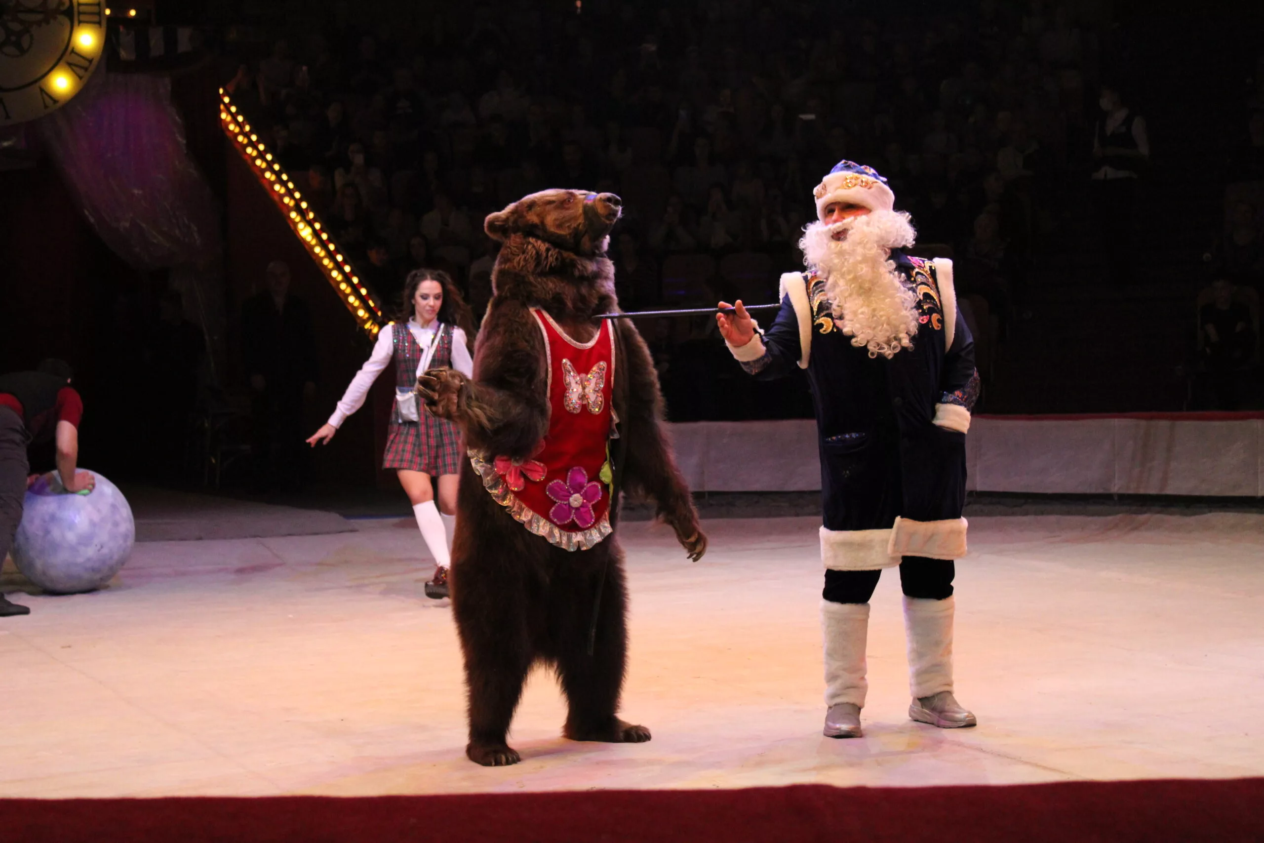 цирк новый год. цирк новый год в стране чудес курск. цирк новый год в стране чудес курск. новогоднее представление в цирке курск. цирк чудес кунцево.