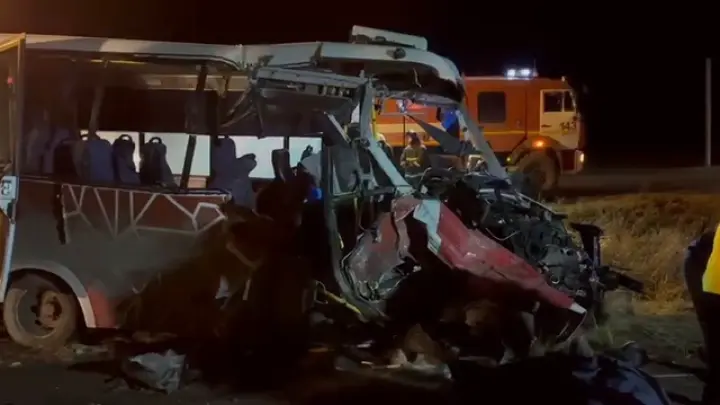 Перевозчик, в автобусе которого погибли семь человек, дал комментарий